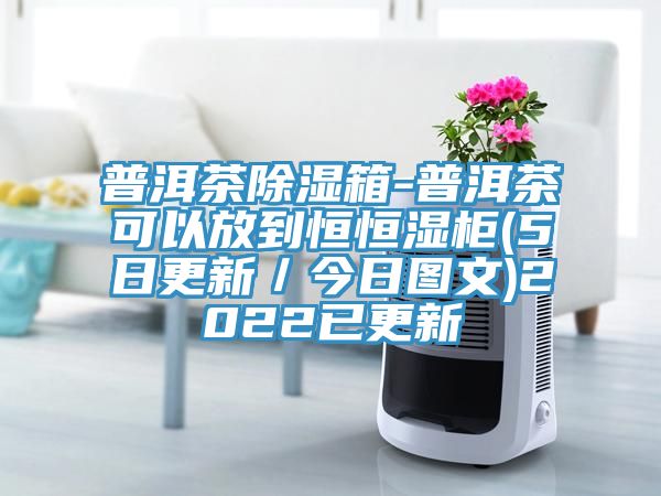 普洱茶除濕箱-普洱茶可以放到恒恒濕柜(5日更新/今日圖文)2022已更新