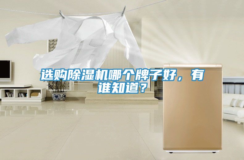 選購除濕機哪個牌子好，有誰知道？