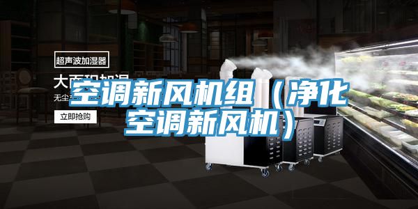 空調新風機組(凈化空調新風機)