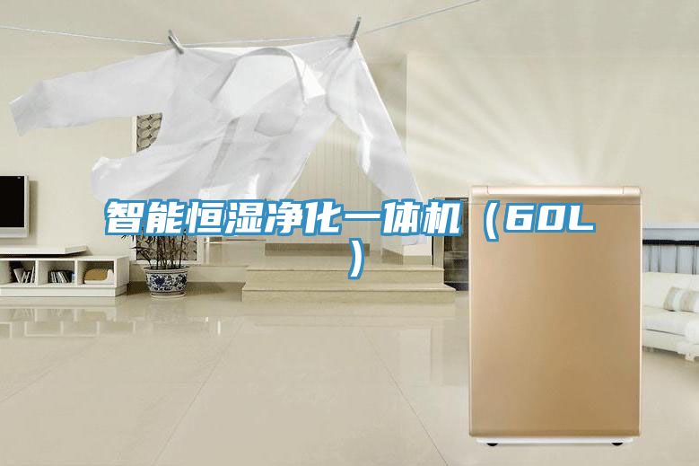 智能恒濕凈化一體機(jī)(60L)