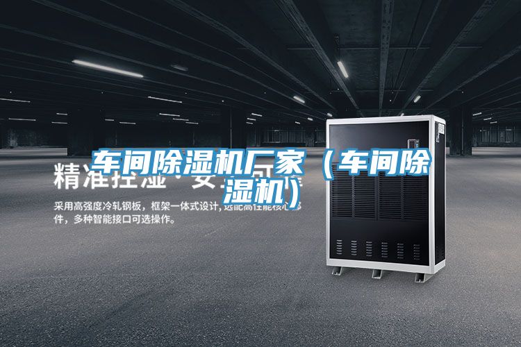 車間除濕機(jī)廠家(車間除濕機(jī))