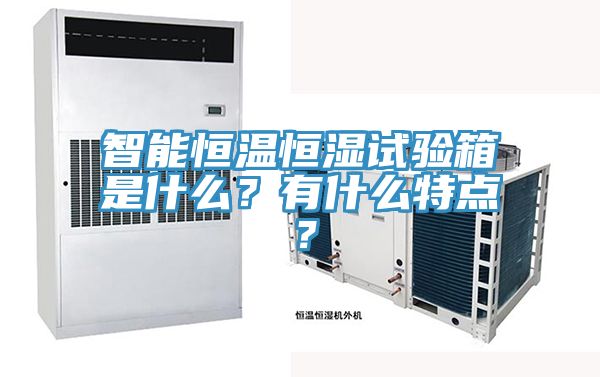 智能恒溫恒濕試驗(yàn)箱是什么?有什么特點(diǎn)?