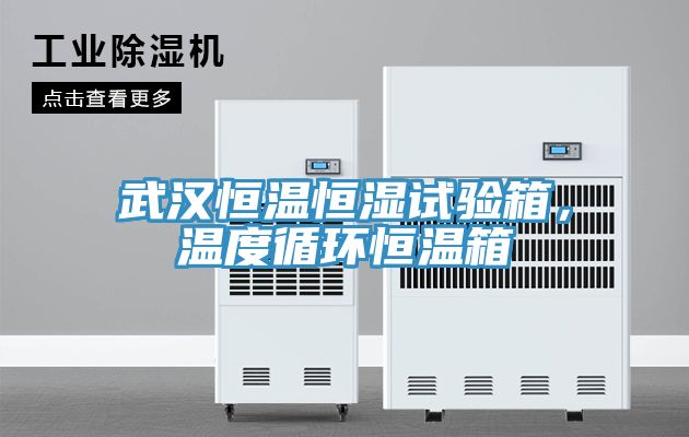 武漢恒溫恒濕試驗(yàn)箱,溫度循環(huán)恒溫箱