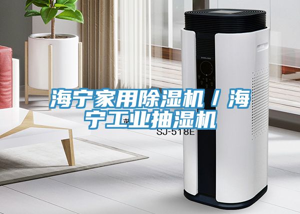 海寧家用除濕機/海寧工業(yè)抽濕機