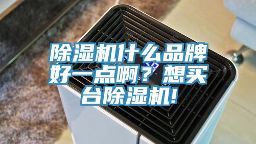 除濕機什么品牌好一點啊?想買臺除濕機!