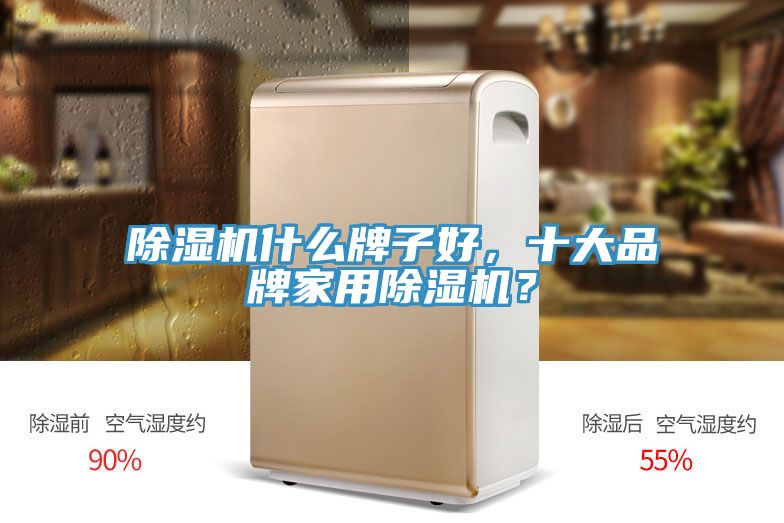 除濕機什么牌子好，十大品牌家用除濕機？