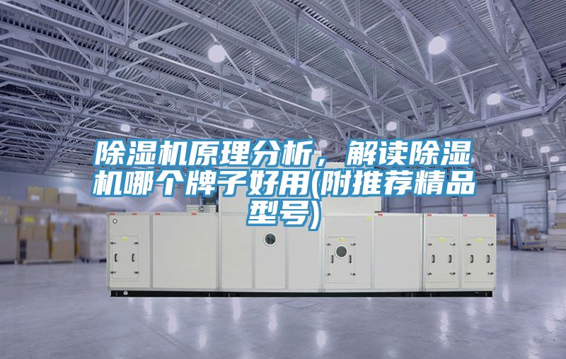 除濕機(jī)原理分析,解讀除濕機(jī)哪個牌子好用(附推薦精品型號)