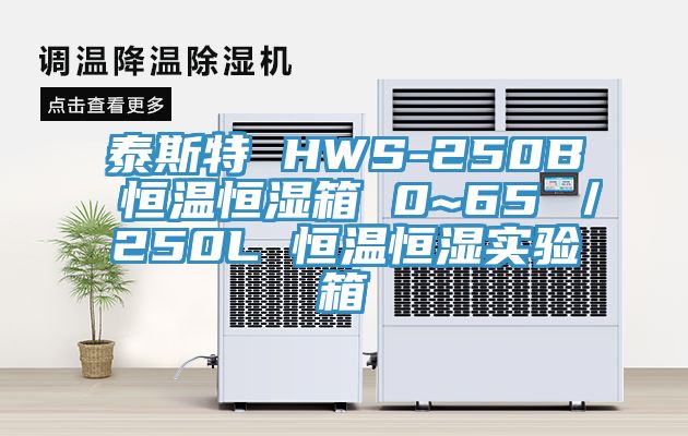 泰斯特 HWS-250B 恒溫恒濕箱 0~65℃/250L 恒溫恒濕實(shí)驗(yàn)箱