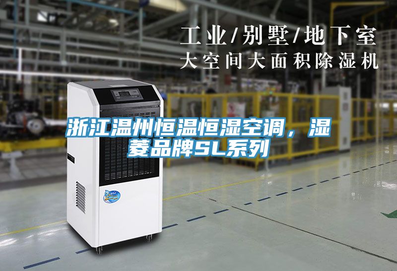 浙江溫州恒溫恒濕空調(diào)，濕菱品牌SL系列