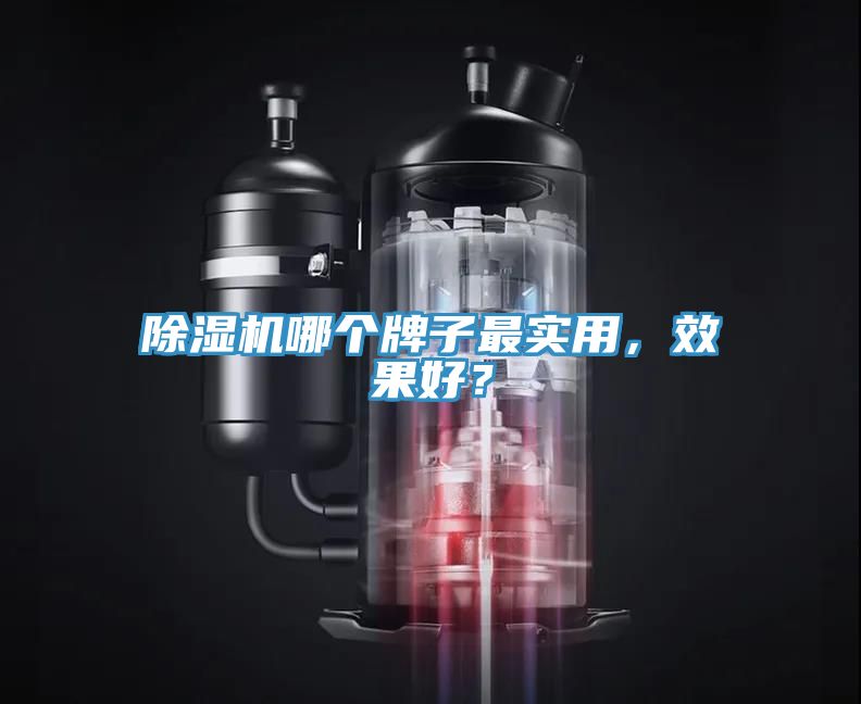 除濕機哪個牌子最實用,效果好?