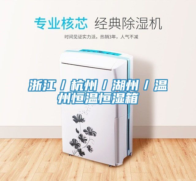 浙江/杭州/湖州/溫州恒溫恒濕箱