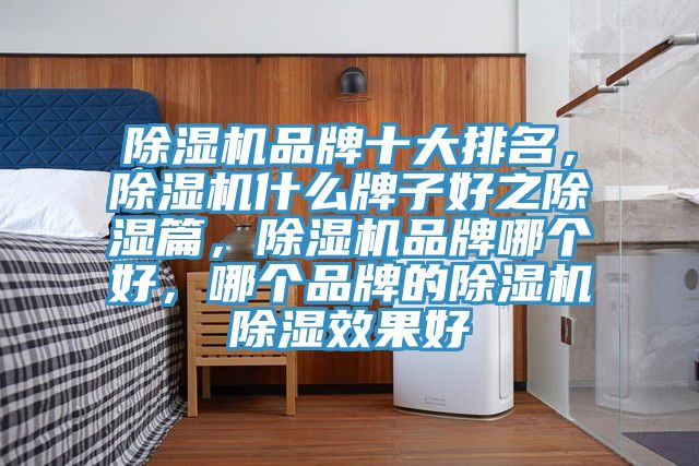除濕機(jī)品牌十大排名,除濕機(jī)什么牌子好之除濕篇,除濕機(jī)品牌哪個好,哪個品牌的除濕機(jī)除濕效果好