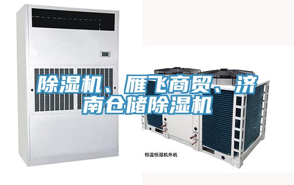 除濕機、雁飛商貿、濟南倉儲除濕機