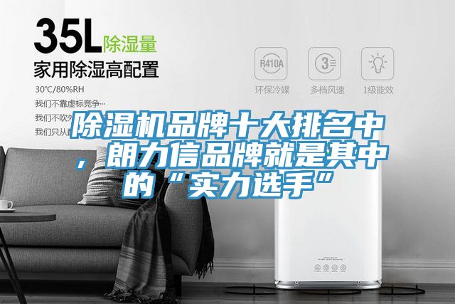 除濕機(jī)品牌十大排名中,朗力信品牌就是其中的“實(shí)力選手”