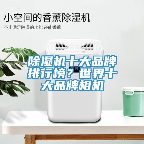 除濕機十大品牌排行榜?世界十大品牌相機
