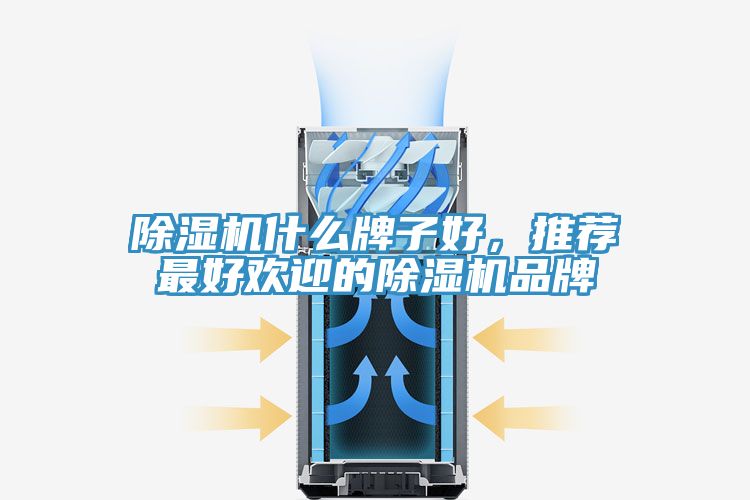 除濕機什么牌子好，推薦最好歡迎的除濕機品牌
