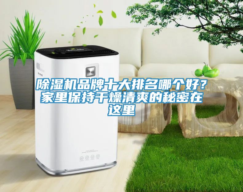 除濕機(jī)品牌十大排名哪個(gè)好?家里保持干燥清爽的秘密在這里