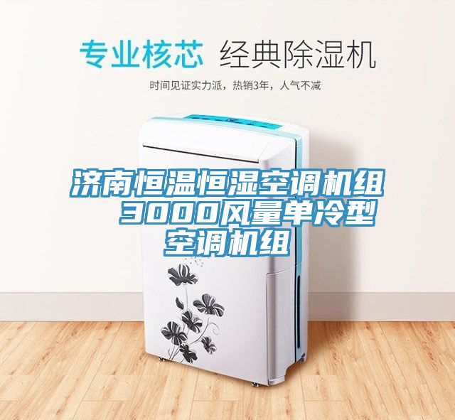 濟(jì)南恒溫恒濕空調(diào)機(jī)組 3000風(fēng)量單冷型空調(diào)機(jī)組