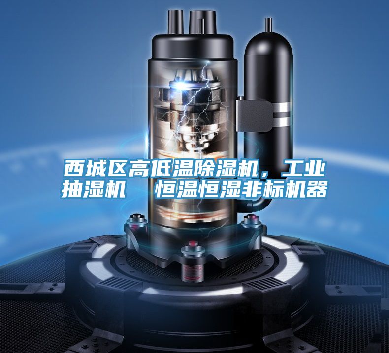西城區高低溫除濕機，工業抽濕機  恒溫恒濕非標機器