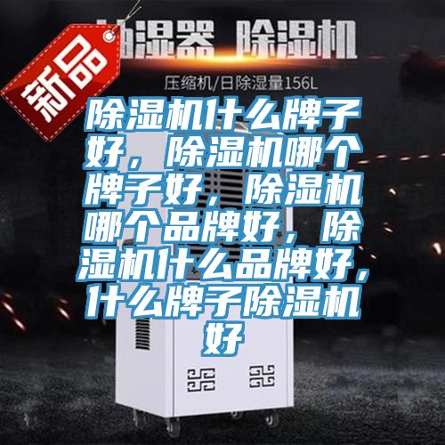除濕機什么牌子好，除濕機哪個牌子好，除濕機哪個品牌好，除濕機什么品牌好，什么牌子除濕機好
