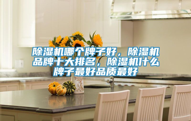 除濕機(jī)哪個牌子好,除濕機(jī)品牌十大排名,除濕機(jī)什么牌子最好品質(zhì)最好