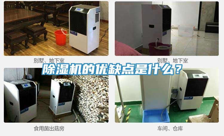 除濕機的優(yōu)缺點是什么?
