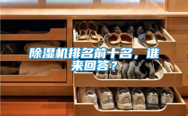 除濕機(jī)排名前十名，誰(shuí)來(lái)回答？