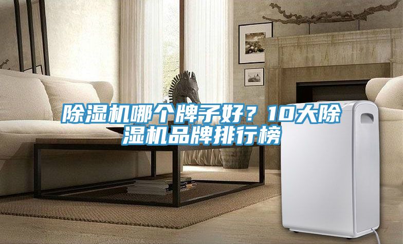 除濕機(jī)哪個牌子好?10大除濕機(jī)品牌排行榜