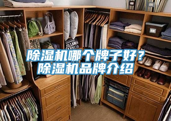 除濕機(jī)哪個牌子好?除濕機(jī)品牌介紹