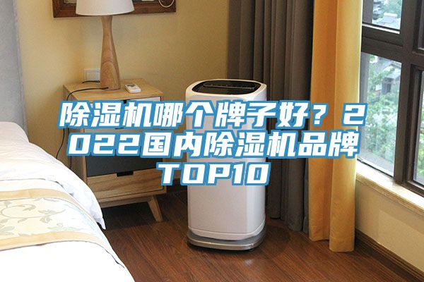 除濕機(jī)哪個牌子好?2022國內(nèi)除濕機(jī)品牌TOP10