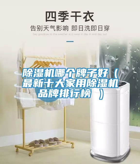 除濕機(jī)哪個牌子好(最新十大家用除濕機(jī)品牌排行榜 )