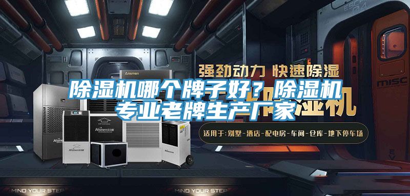 除濕機(jī)哪個牌子好?除濕機(jī)專業(yè)老牌生產(chǎn)廠家