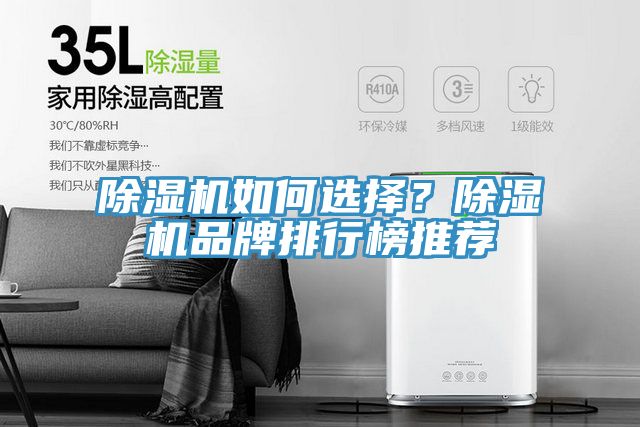 除濕機如何選擇?除濕機品牌排行榜推薦