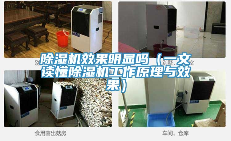 除濕機(jī)效果明顯嗎(一文讀懂除濕機(jī)工作原理與效果)