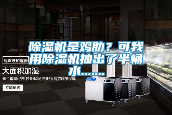 除濕機是雞肋？可我用除濕機抽出了半桶水.......