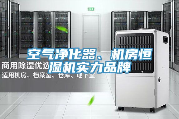 空氣凈化器、機房恒濕機實力品牌