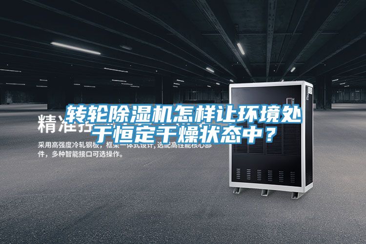 轉(zhuǎn)輪除濕機怎樣讓環(huán)境處于恒定干燥狀態(tài)中?