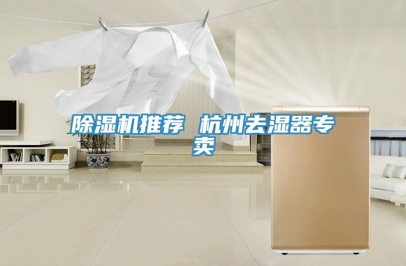 除濕機(jī)推薦 杭州去濕器專(zhuān)賣(mài)