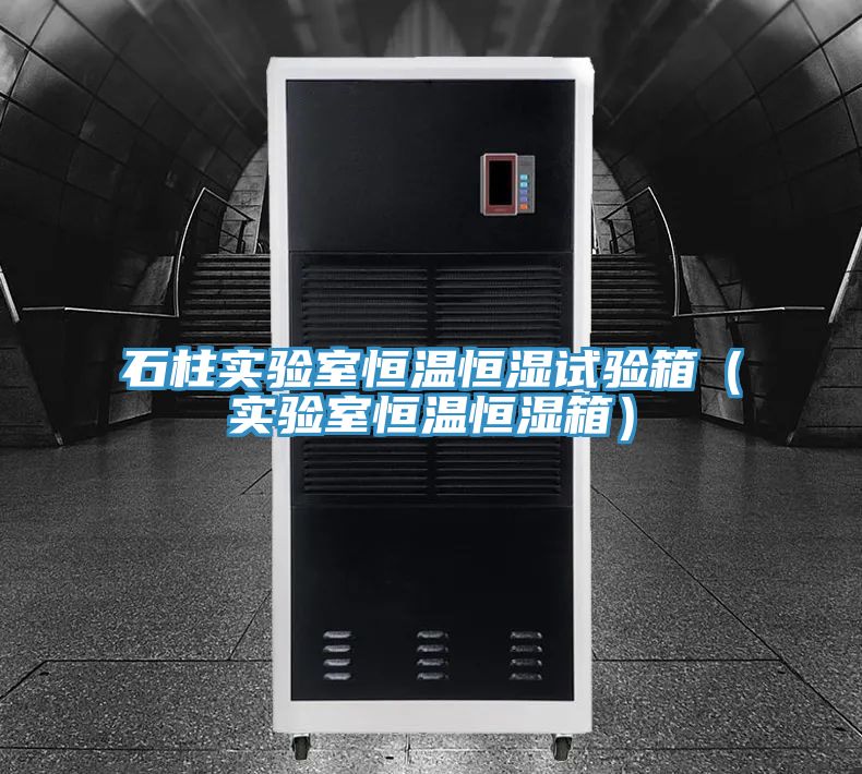 石柱實(shí)驗(yàn)室恒溫恒濕試驗(yàn)箱(實(shí)驗(yàn)室恒溫恒濕箱)