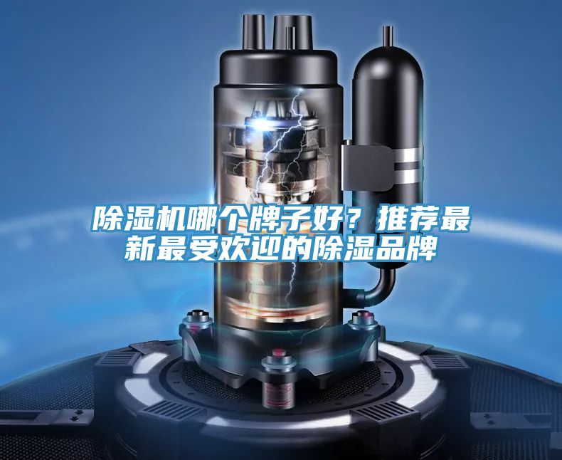除濕機(jī)哪個牌子好?推薦最新最受歡迎的除濕品牌