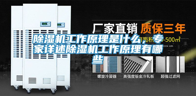 除濕機工作原理是什么,專家詳述除濕機工作原理有哪些