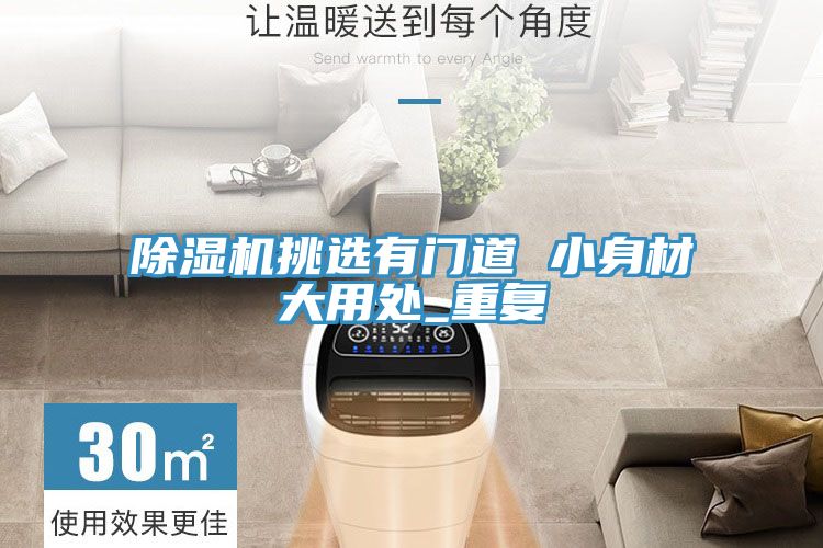 除濕機(jī)挑選有門道 小身材大用處_重復(fù)