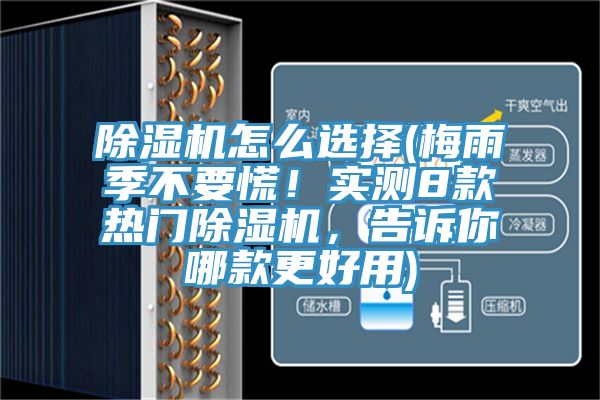 除濕機(jī)怎么選擇(梅雨季不要慌!實(shí)測(cè)8款熱門除濕機(jī),告訴你哪款更好用)