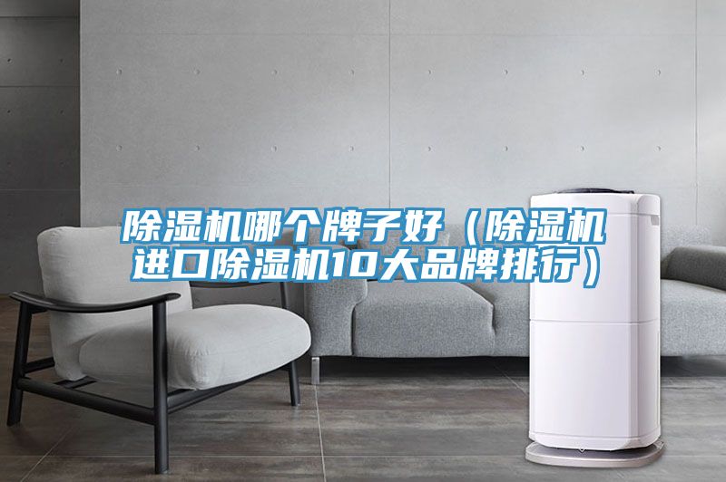 除濕機(jī)哪個牌子好(除濕機(jī)進(jìn)口除濕機(jī)10大品牌排行)