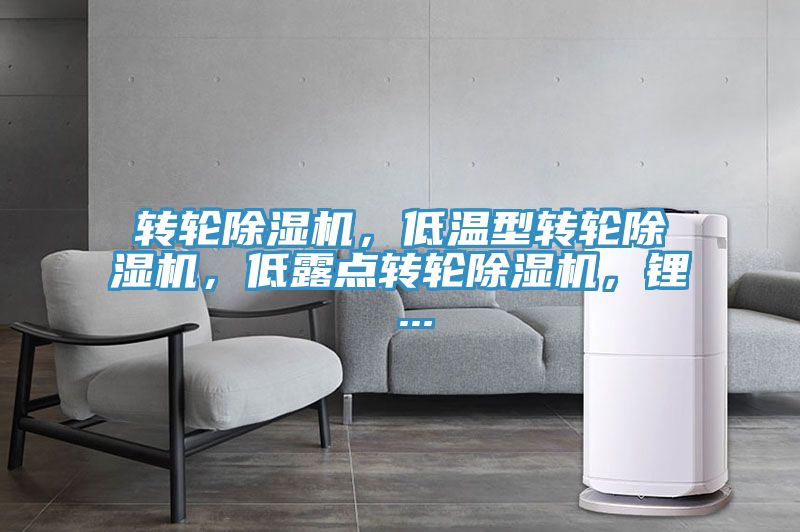 轉輪除濕機，低溫型轉輪除濕機，低露點轉輪除濕機，鋰 ...